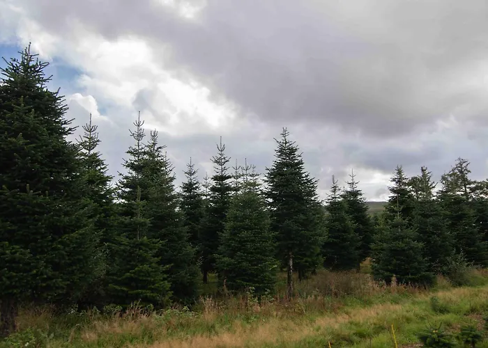 Edenmill Farm * Glasgow