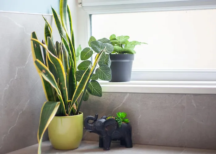 Newly Renovated Flat In Trendy Finnieston *