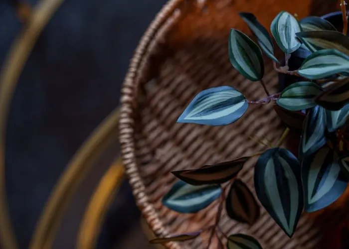 Family And Group 2br By Park Sleeps 7 Appartement *